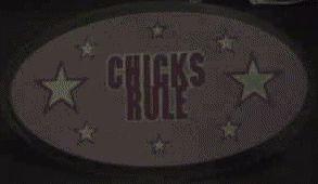 chicks_rule_panel_anim_int