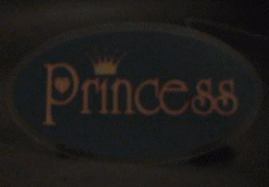 princess_panel_anim_int